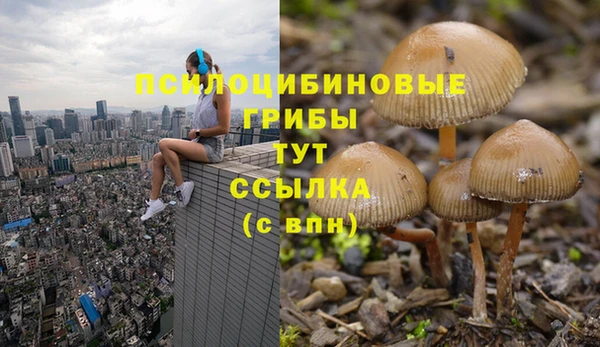 Альфа ПВП Абинск