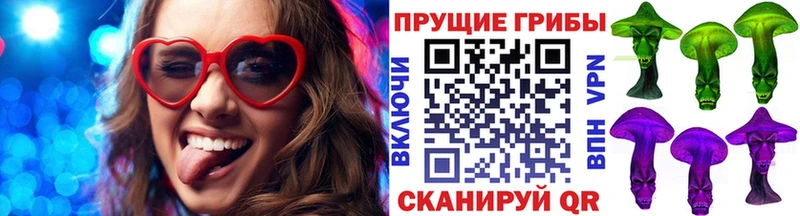 цена наркотик  Усть-Кут  Псилоцибиновые грибы Psilocybine cubensis 