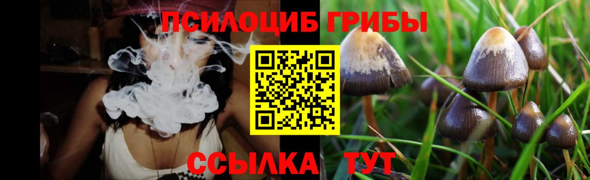 Псилоцибиновые грибы Magic Shrooms  Галлюциногенные грибы мухоморы  Усть-Кут  Вход с VPN 